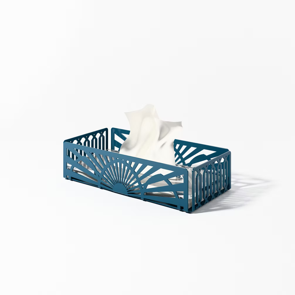 Tissue box bayt