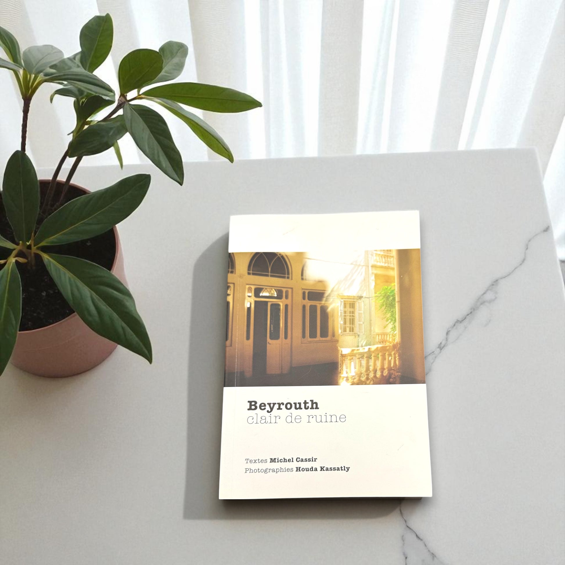 Book titled 'Beyrouth clair de ruine' 