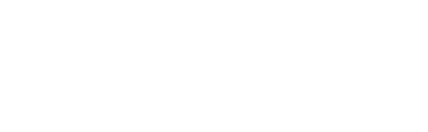 Gemspace Art Gallery